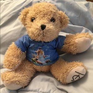 Super rare Taylor Swift fearless bear